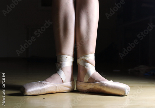 Ballet Position, Ballerina 
