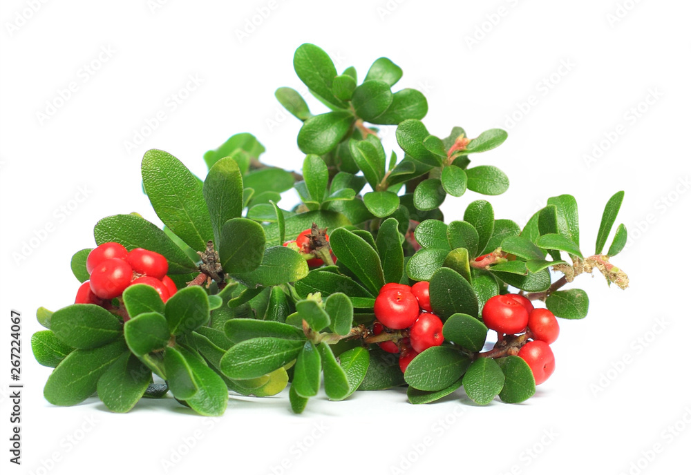 Juice and red cowberry isolated on white Juice and red cowberry isolated on white