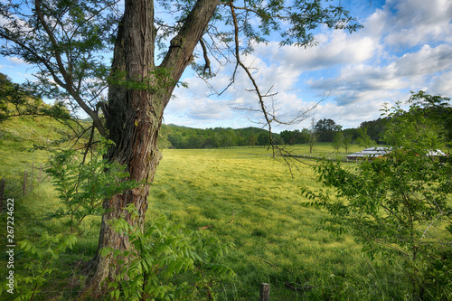 "Spring View" ZDS Americana Landscapes Collection