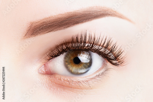 Female eye with long eyelashes. Classic eyelash extensions and light brown eyebrow close-up. Eyelash extensions, lamination, microblading, tattoo, permanent, cosmetology concept