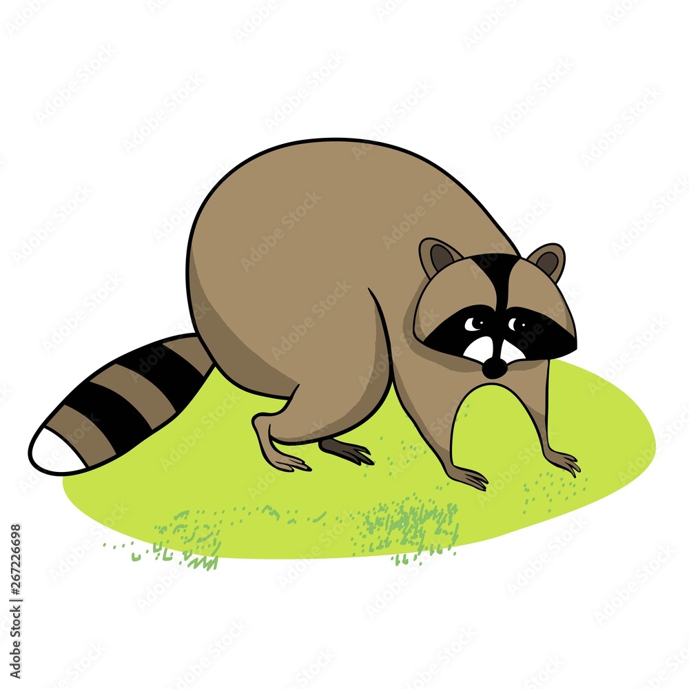 Cute raccoon on green grass, cartoon character raccoon, pet, drawing, color  image, vector outline drawing, for children Stock Vector | Adobe Stock