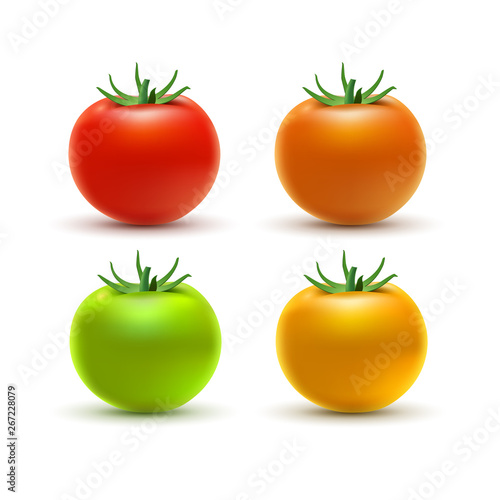 Tomato colorful isolated on white. Tomato organic food photo-realistic red orange yellow and green vector illustration of healthy vegetable