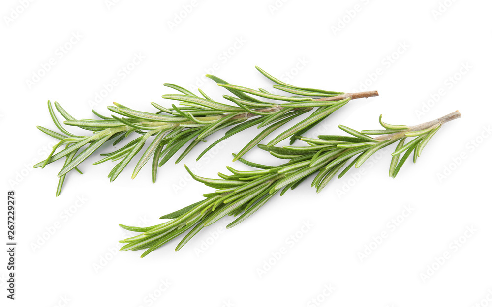 Fresh green rosemary twigs on white background Fresh green rosemary twigs on white background