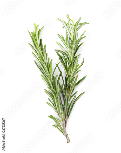 Fresh green rosemary twigs on white background  top view