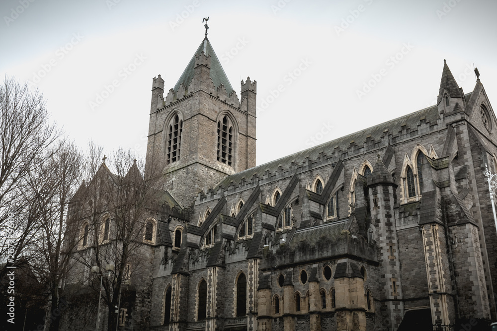 Architectural detail of Christ Church Cathedral  of Dublin, Ireland