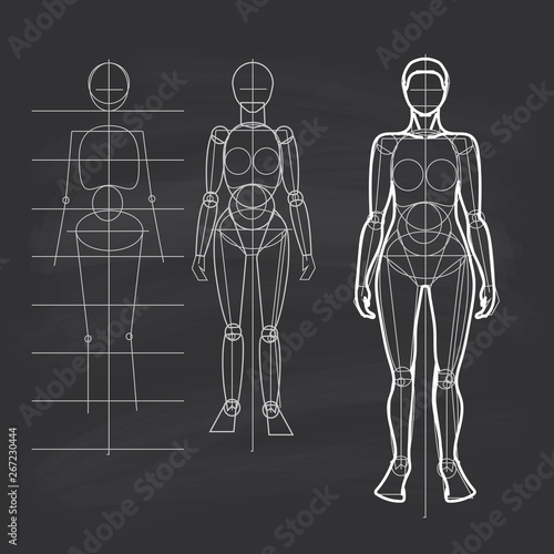 human figure