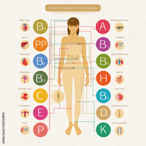 The role of vitamins
