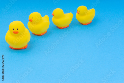 Yellow rubber duck on blue background. Selective focus and copy space concept © instagram.com/_alfil