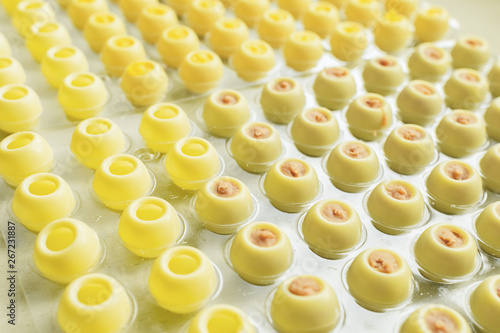 White chocolate candies lie in rows special shapes. Cooking handmade chocolates. The selective focus. Horizontal frame.