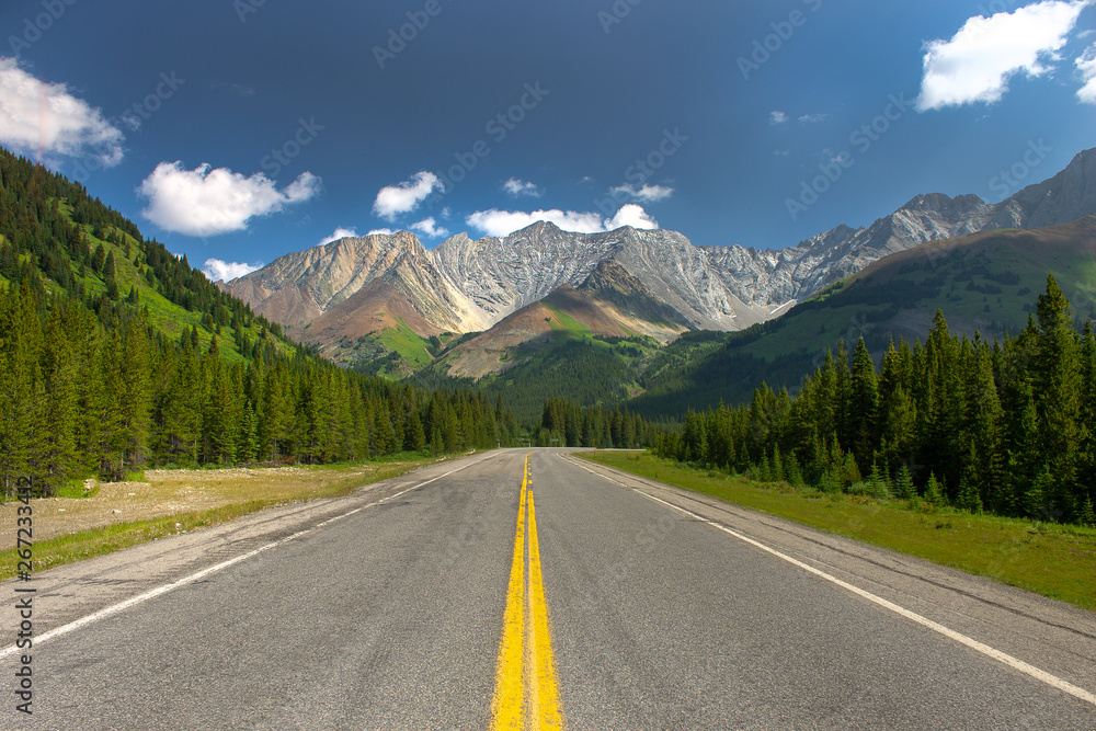 Fototapeta premium Road through the mountains