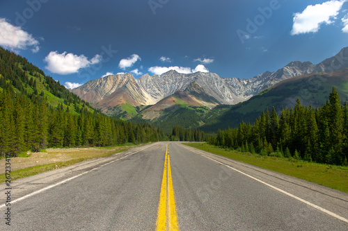 Road through the mountains