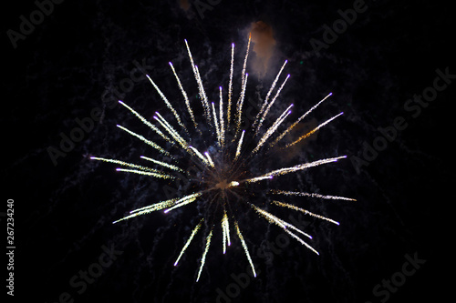 Fireworks in the night sky over the city