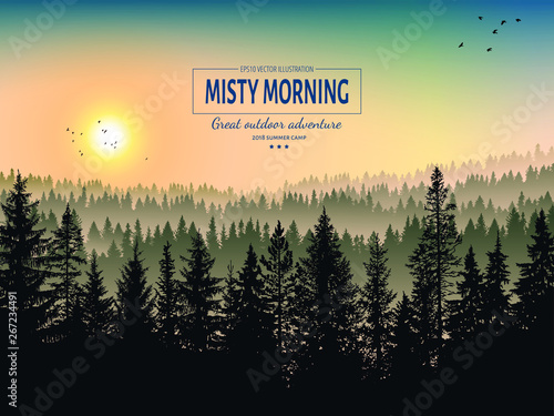 Abstract background. Forest wilderness landscape. Misty morning. Trees in tne fog. Template for your design works. Hand drawn vector illustration.