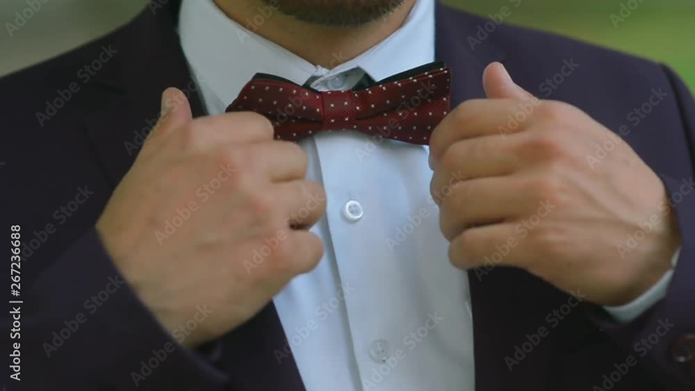 Groom corrects butonniere and butterfly