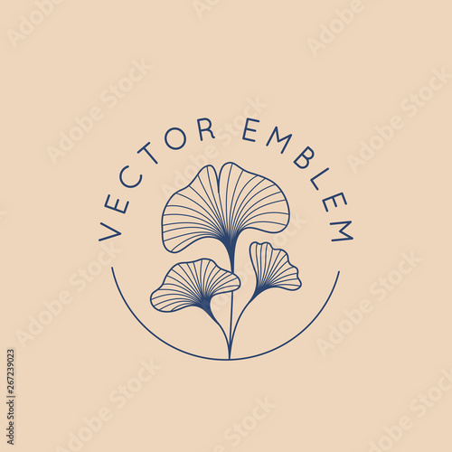 Vector abstract logo design template in trendy linear minimal style - ginkgo biloba leaves