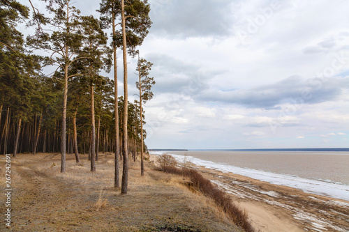 Lake shore and a beautiful cloudscape. Siberia