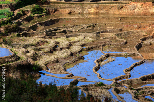 Honghe Yuanyang, Samaba Rice Terrace Fields - Baohua township, Yunnan Province China. Sama Dam Multi-Color Terraces - grass, mud construction layered terraces filled with water, blue sky reflection photo