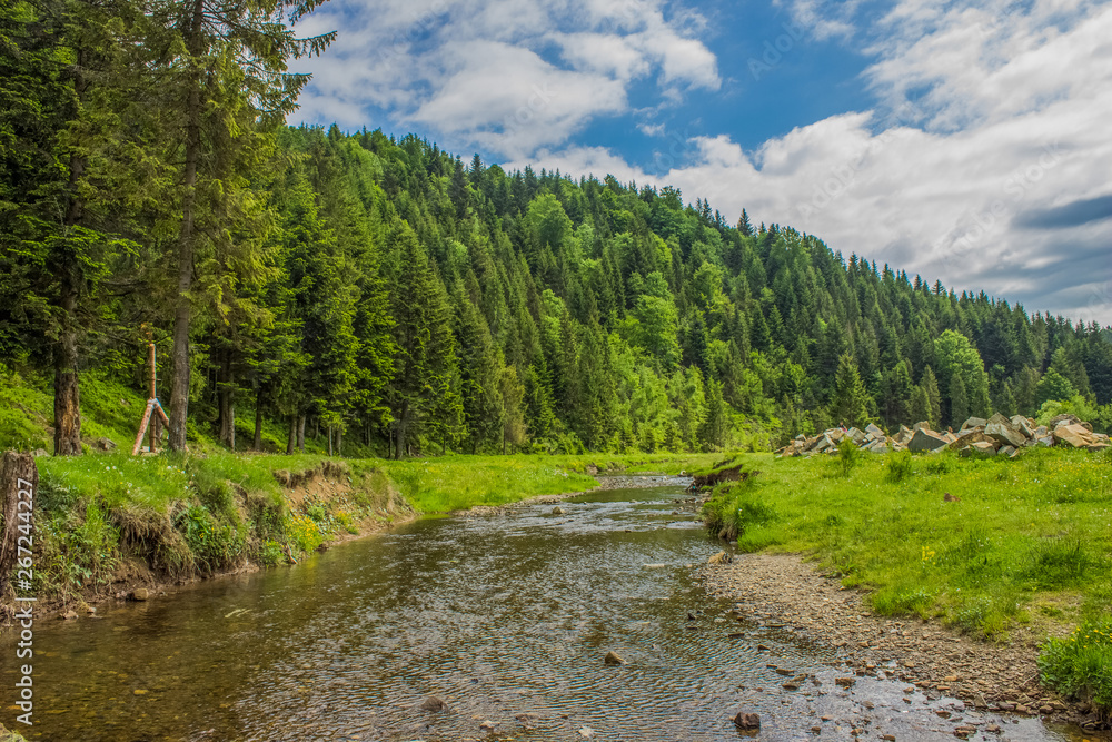 mountain pine forest and river stream green highland scenic landscape mountain pine forest and river stream green highland scenic landscape