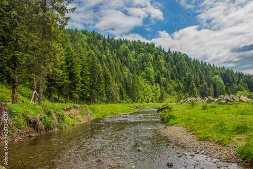 mountain pine forest and river stream green highland scenic landscape 