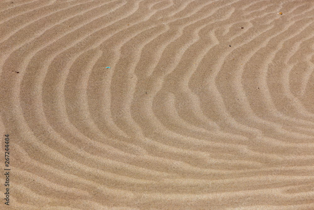 Obraz premium Waves in the sand at La Caleta. Lanzarote. Canary Islands. Spain.
