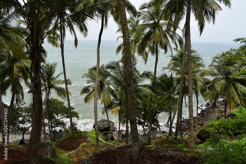 Dangerous Sea Beach