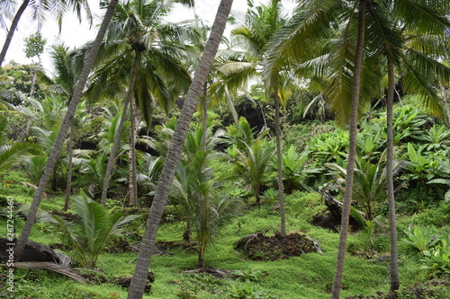 Green Garden near the Sea