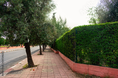 Sidewalk Lined with Green Trees and Shrubs beside a Street in Marrakech Morocco