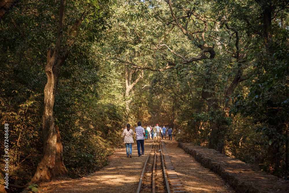 Fototapeta premium walk in a jungle hill station