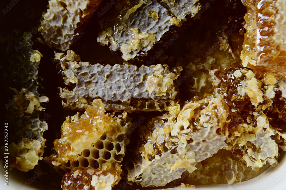 Honey and honeycomb close up Honey and honeycomb close up