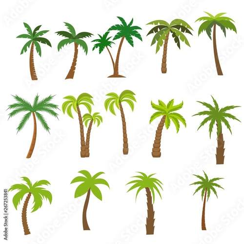 Flat vector set of palm trees