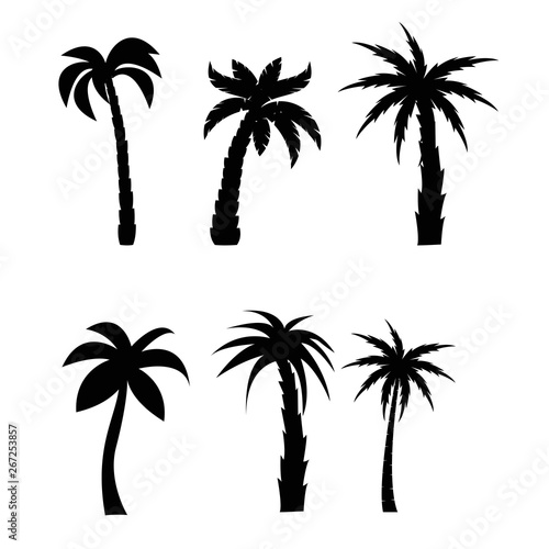 Palm trees black silhouettes set © credon2012