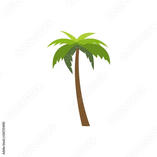 tree palm isolated icon