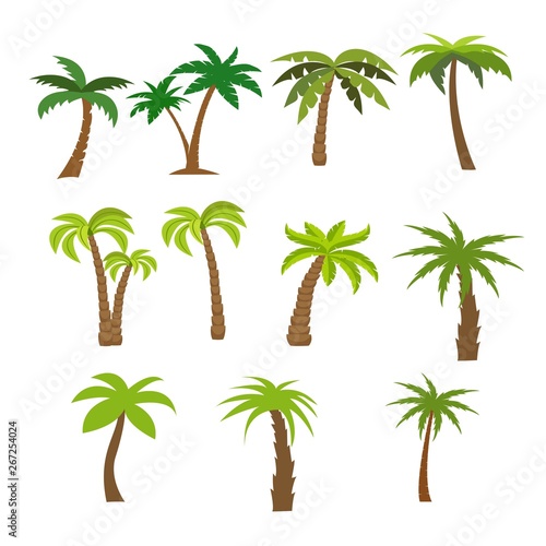 Flat vector set of palm trees