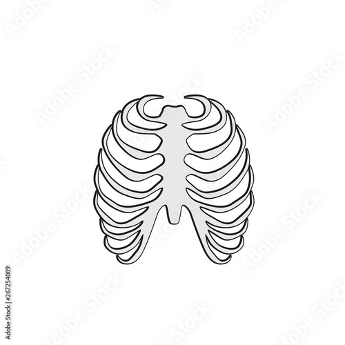 Rib cage icon. Simple illustration of rib cage vector icon for web