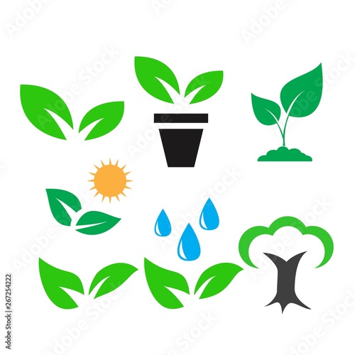 green plant and leave color icons set vector