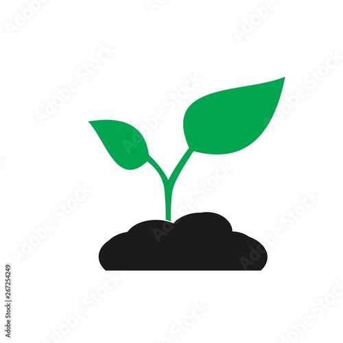 plant icon. sign design © credon2012