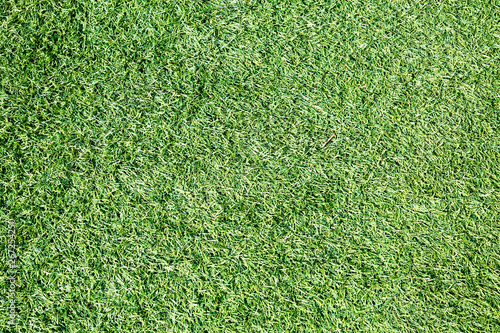 Bild auf Leinwand Background of faux green grass. Texture backgrounds.