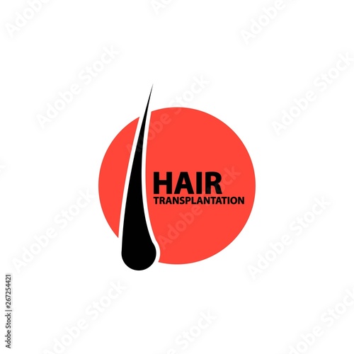 hair detail illustration