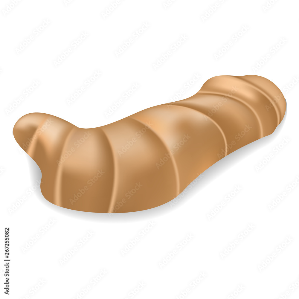 Ginger root icon. Realistic illustration of ginger root vector icon for web design isolated on white background Ginger root icon. Realistic illustration of ginger root vector icon for web design isolated on white background