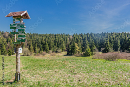 Den ersten Sonnenstrahlen rund um den Rennsteig einfangen und dabei die wunderschöne Natur genießen photo