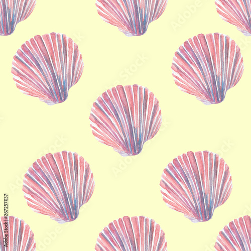 Beautiful sea shell watercolor patern illustration