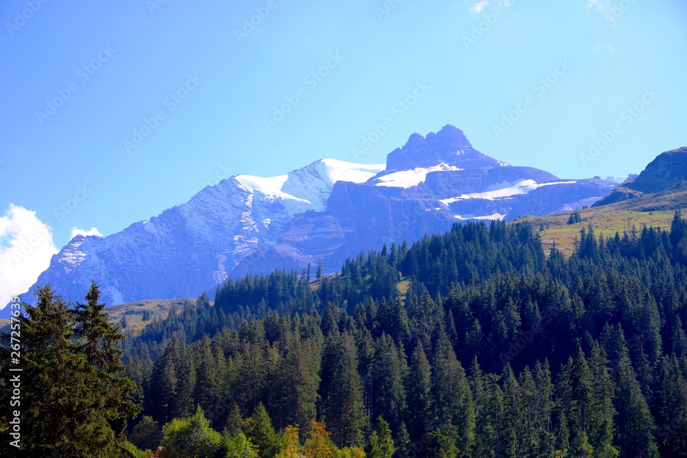 Schweizer Berge