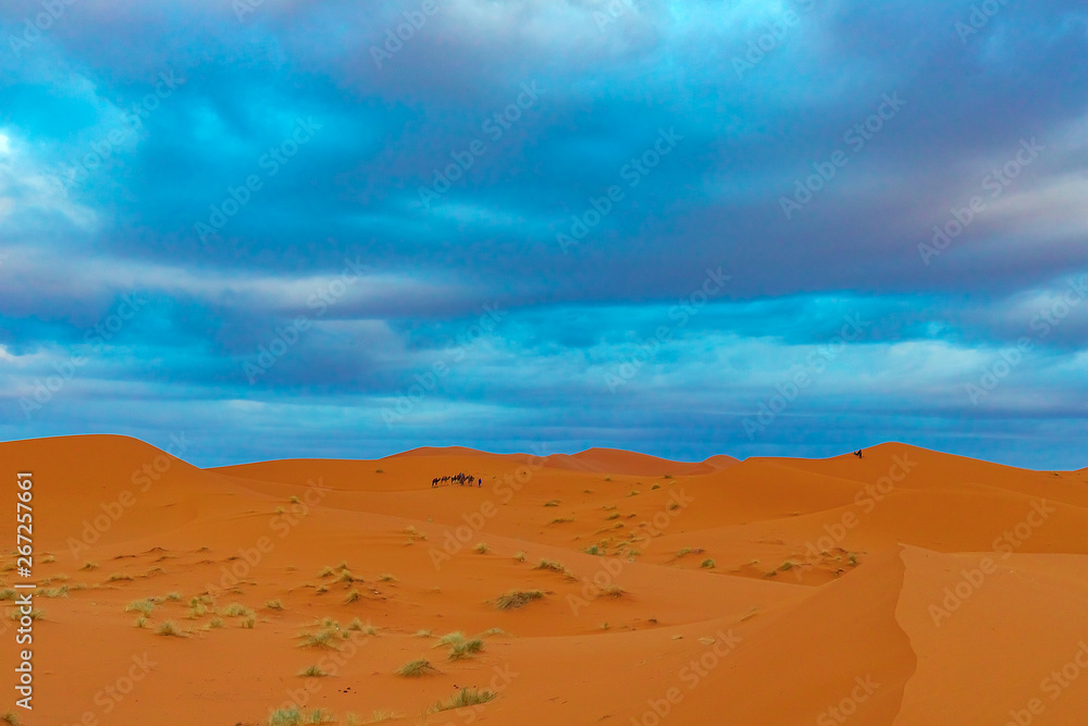 Fototapeta premium Beautiful sand dunes in the Sahara desert.