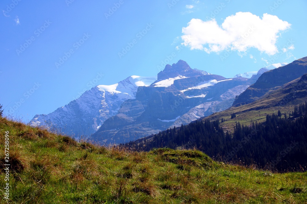 Fototapeta premium Schweizer Berge