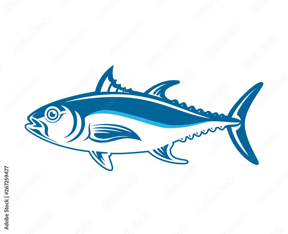 Tuna fish vector illustration isolated on white background Tuna fish vector illustration isolated on white background