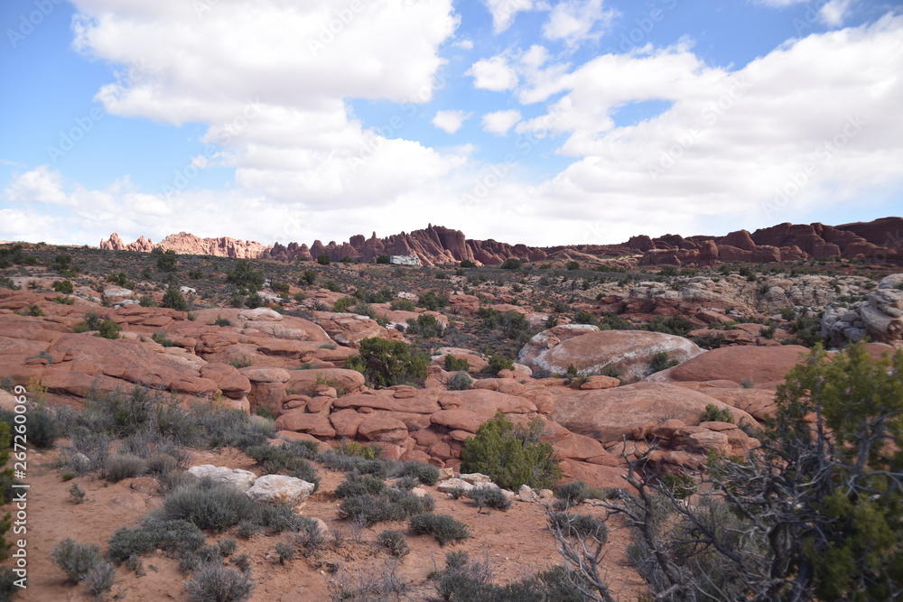 Canyonlands National Park, Utah. U.S.A. Beautiful pinyon and juniper pine and red sandstone moutains