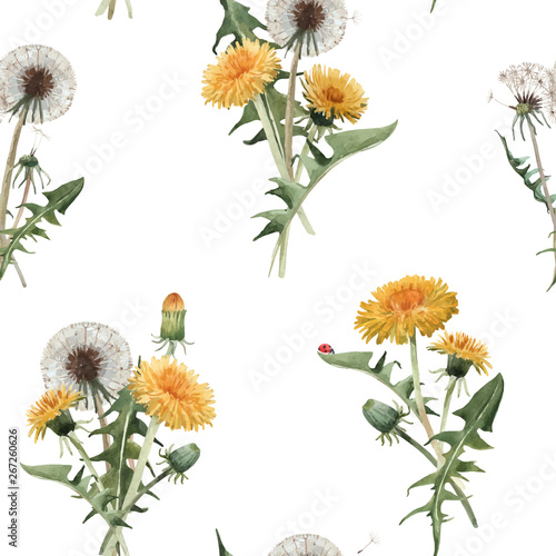 Watercolor dandelion blowball vector pattern