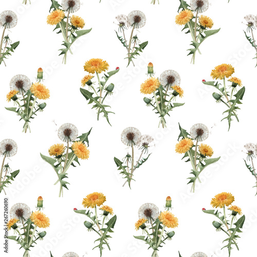 Watercolor dandelion blowball vector pattern