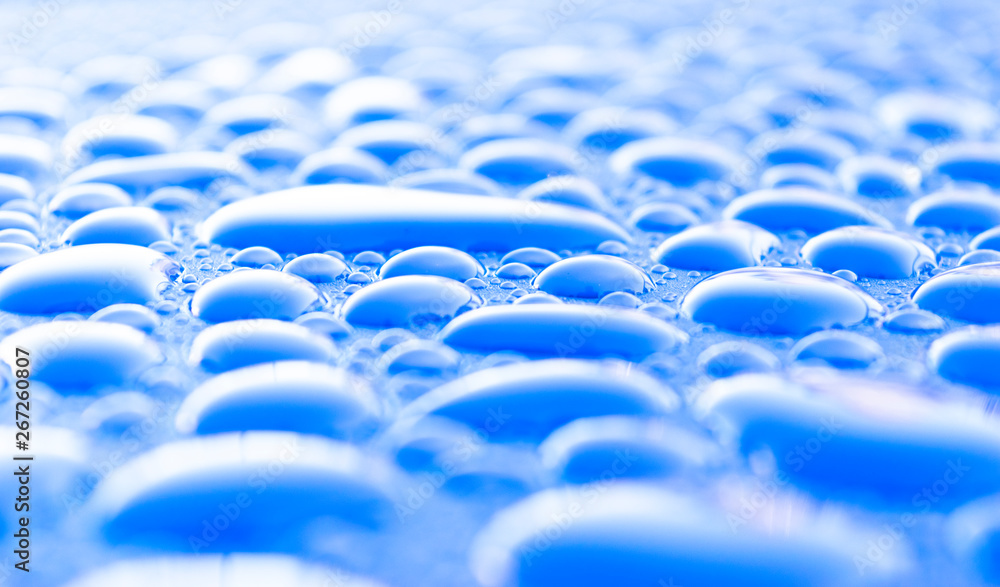 Obraz premium Transparent still water drops on light blue background. Blue water drops. Drops of rain on glass. Blue abstract water drop background. Water surface