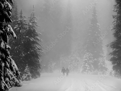 Foggy Snow Walking